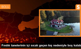 Kışın Sıcak Havaları Baharda Don Olayları Takip Edecek